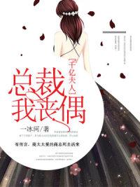 主人公傅司言小说名字