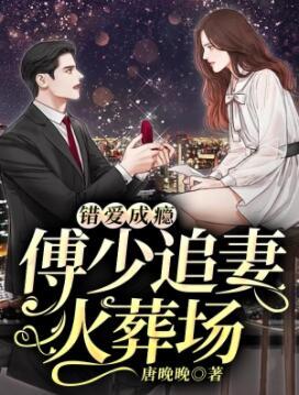 傅少的冷情娇妻一共有多少张