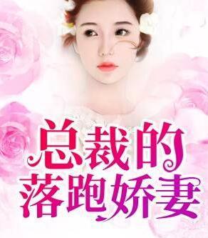 总裁的落跑娇妻免费阅读