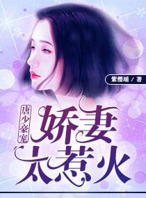 傅幼笙殷墨机长