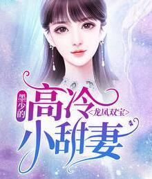 龙凤双宝历少的寻妻之路