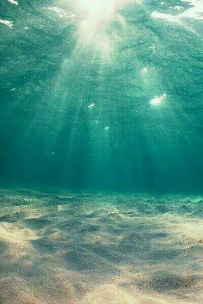 夏沫染顾铭修夏浅浅