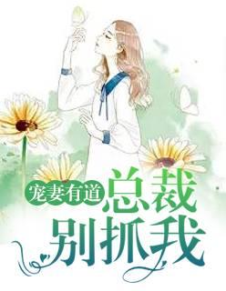 总裁宠妻老婆你别跑