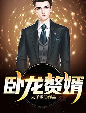 卧龙赘婿纪少龙林芷晴