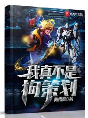 沈南锦秦奕川热文