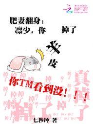 明曦宋弘泽小说