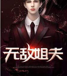 无敌姐夫秦叶轩苏冰颜最新章节