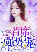 只为君回首小说秦萧铭