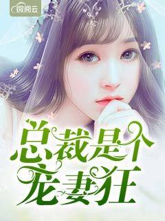 总裁是个宠妻狂