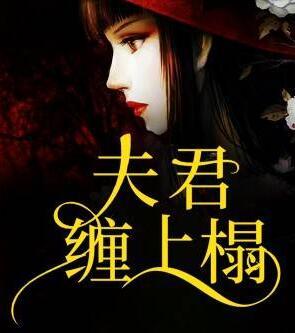 夫君缠上榻慕辞