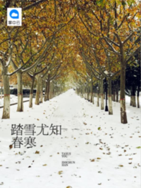 开局师父们抢着送我婚书