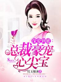 夏殊悦季安沉言情小说